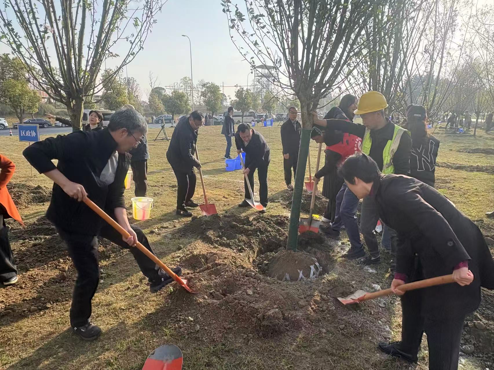 1774249491186065289.jpg 1774249491186065289.jpg